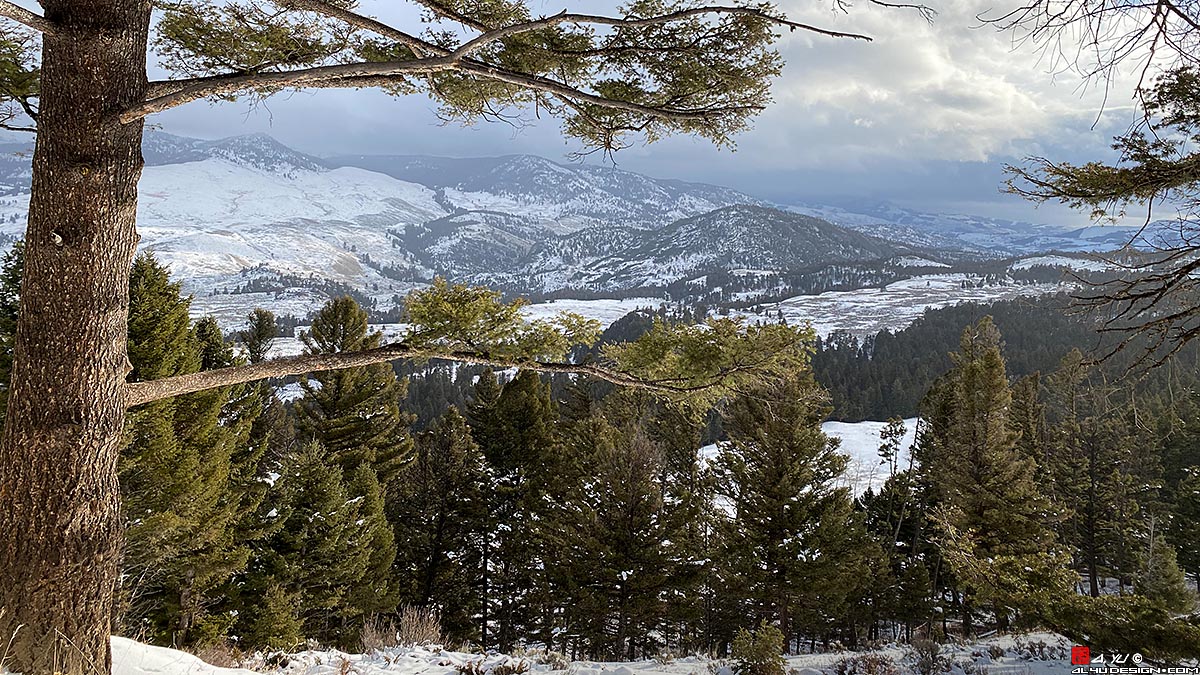 Yellowstone National Park